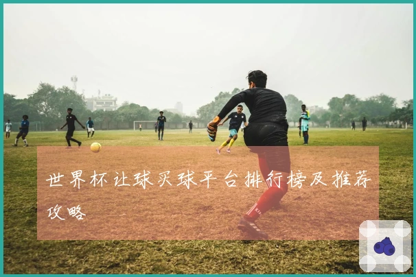 世界杯让球买球平台排行榜及推荐攻略
