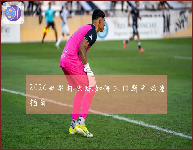 2026世界杯买球如何入门新手必看指南
